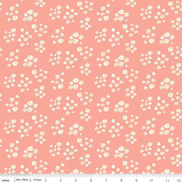 Hello Spring Daisies Coral Ydg for RBD C12962 CORAL - PRICE PER 1/2 YARD