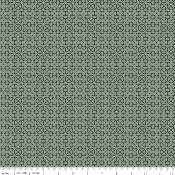 Gingham Fields Starbursts Forest Ydg by My Mind's Eye for RBD C13354 FOREST  - PRICE PER 1/2 YARD