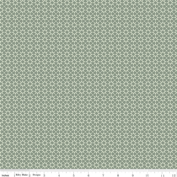 Gingham Fields Starbursts Lodge Pole Ydg by My Mind's Eye for RBD C13354 LODGEPOLE  - PRICE PER 1/2 YARD