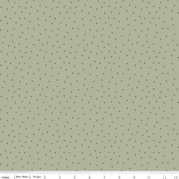 Gingham Fields Criss-Cross Sage Ydg by My Mind's Eye for RBD 13356-SAGE  - PRICE PER 1/2 YARD