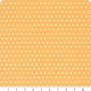 Stitch Square Daisy Yardage for Riley Blake Designs-C10929 DAISY - PRICE PER 1/2 YARD